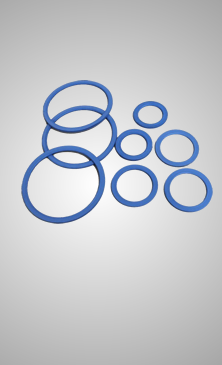 Aneis de Vedacoes Manuval